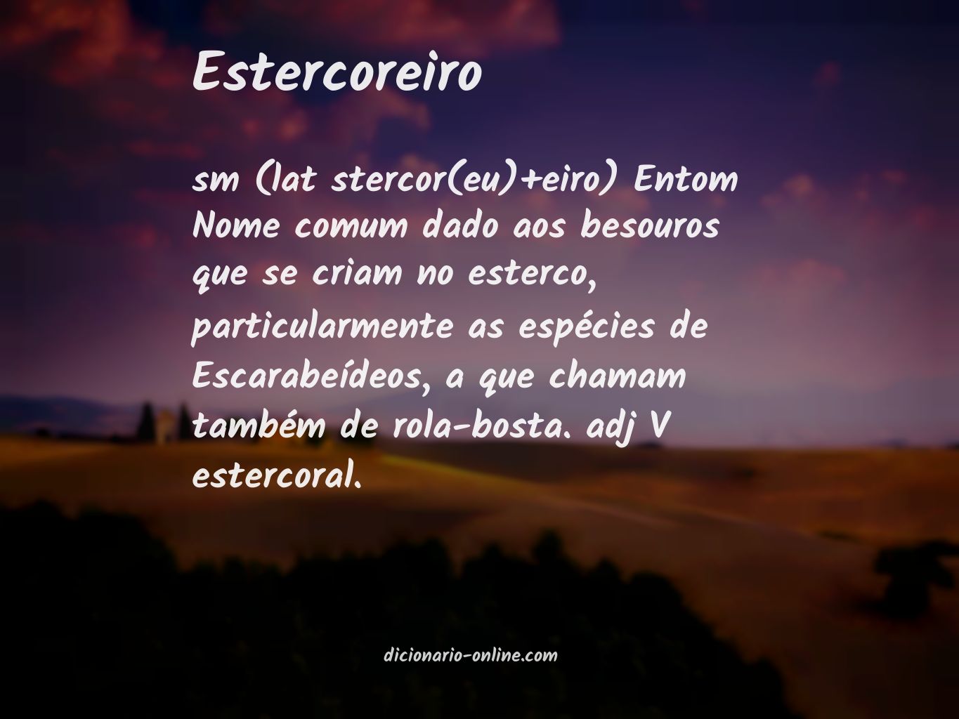 Significado de estercoreiro