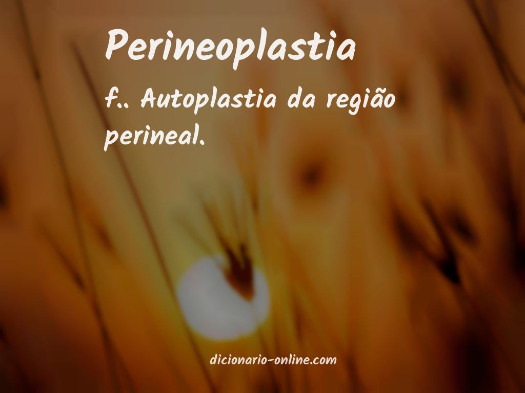 Significado de perineoplastia