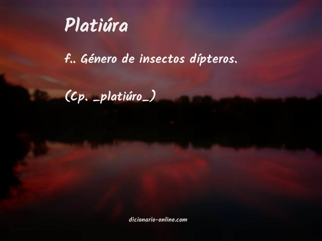 Significado de platiúra