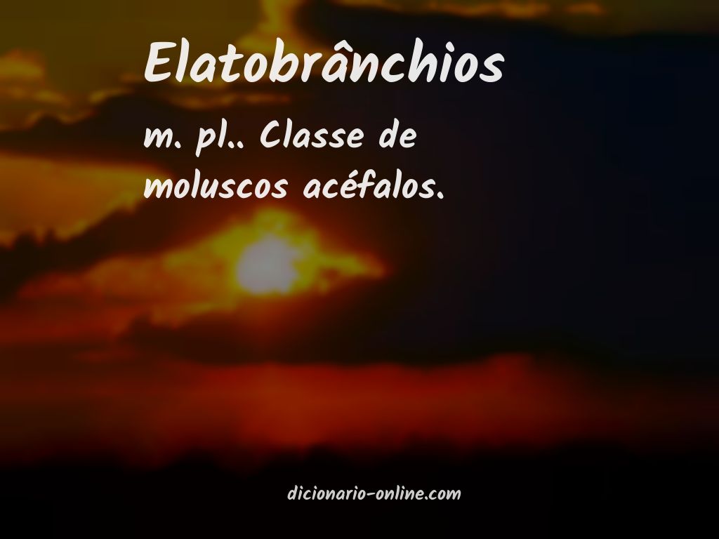 Significado de elatobrânchios