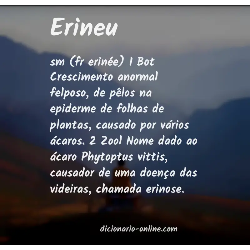 Significado de erineu