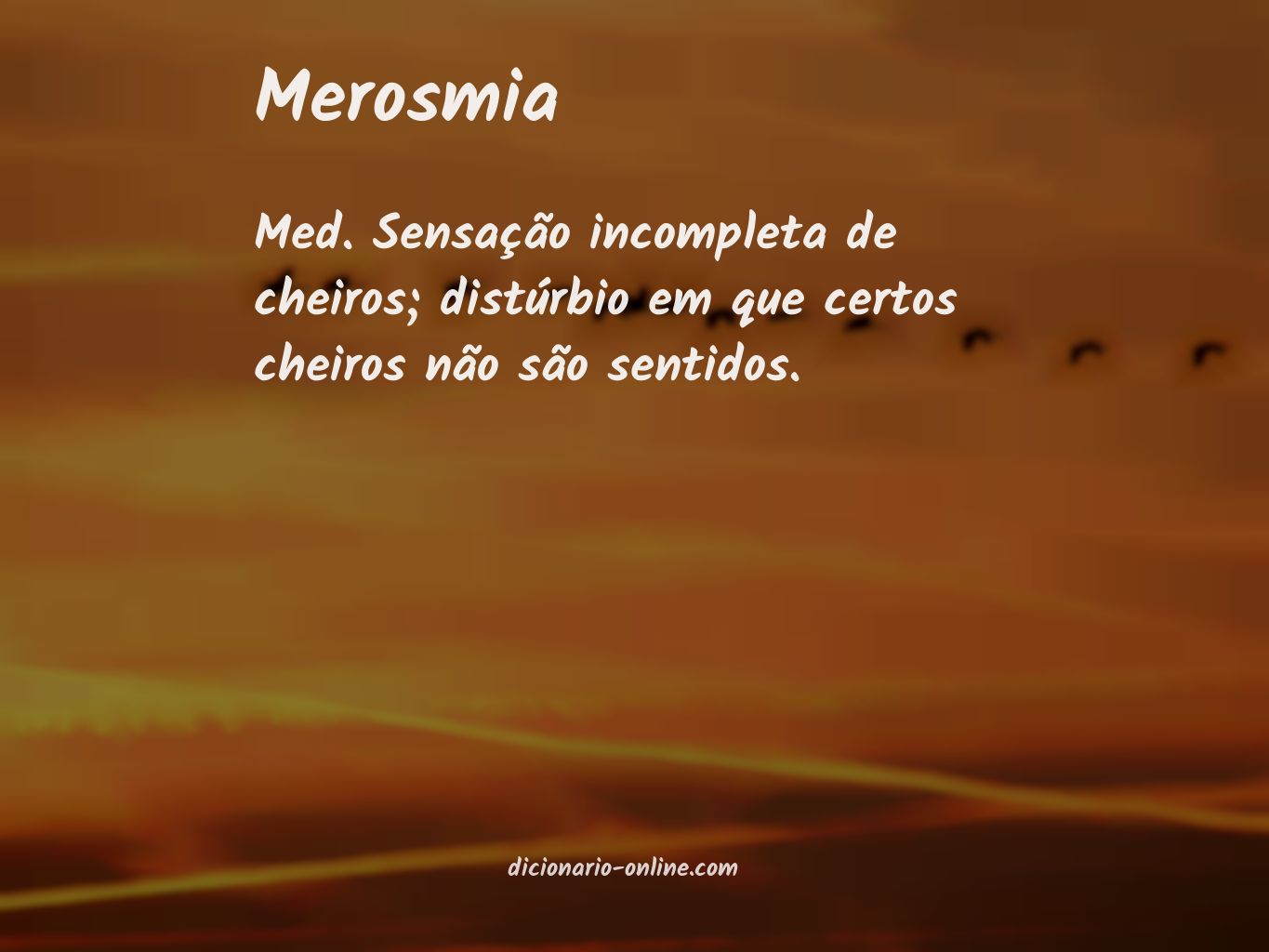 Significado de merosmia
