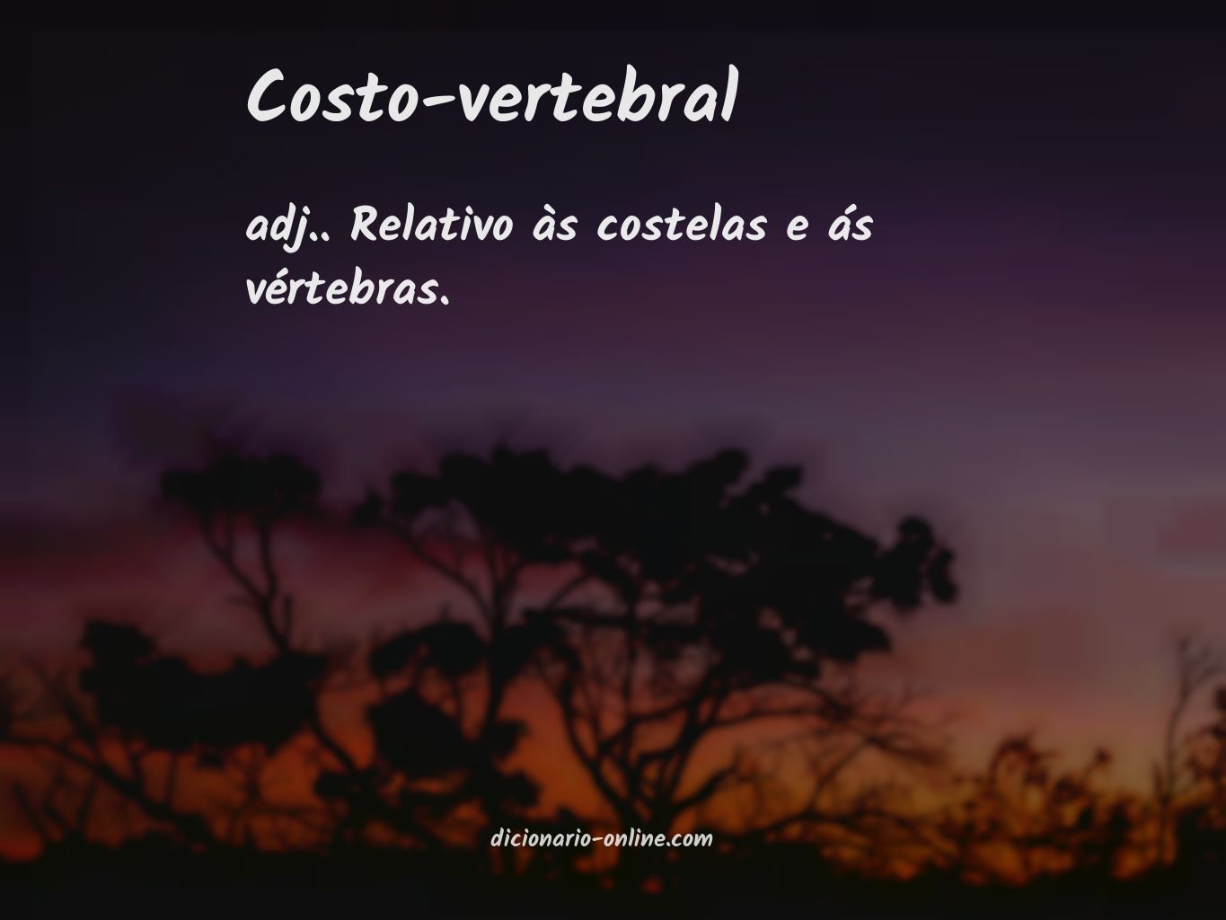 Significado de costo-vertebral