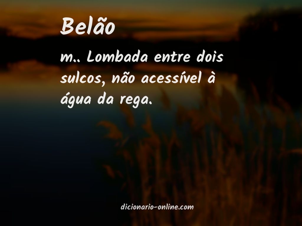 Significado de belão