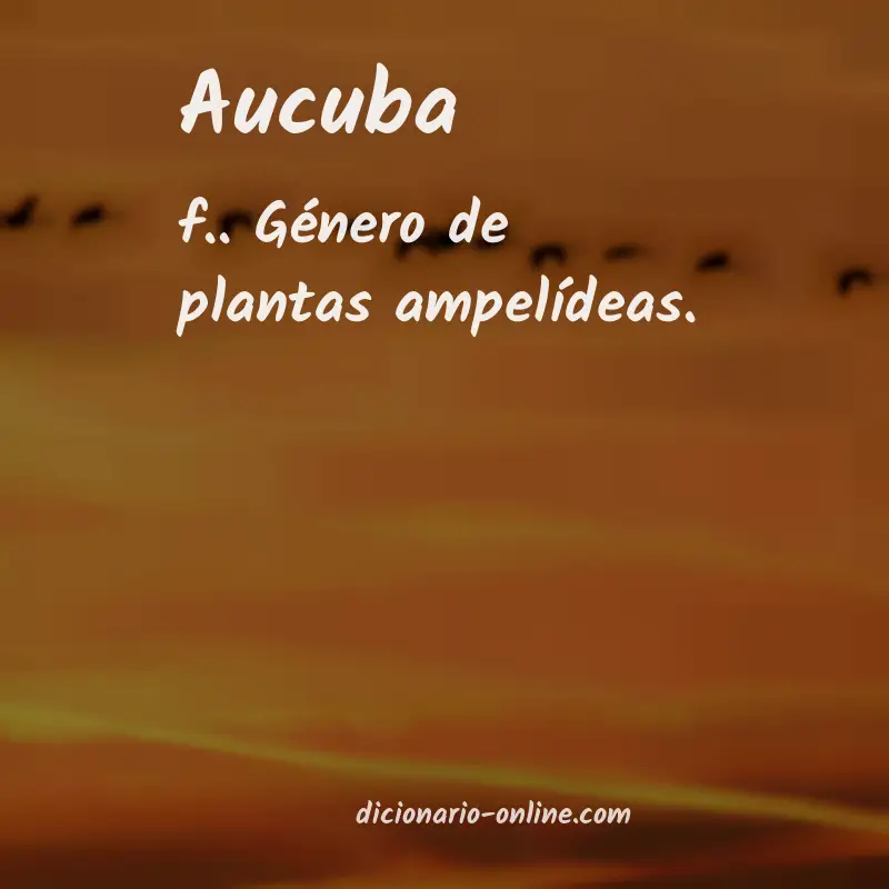 Significado de aucuba