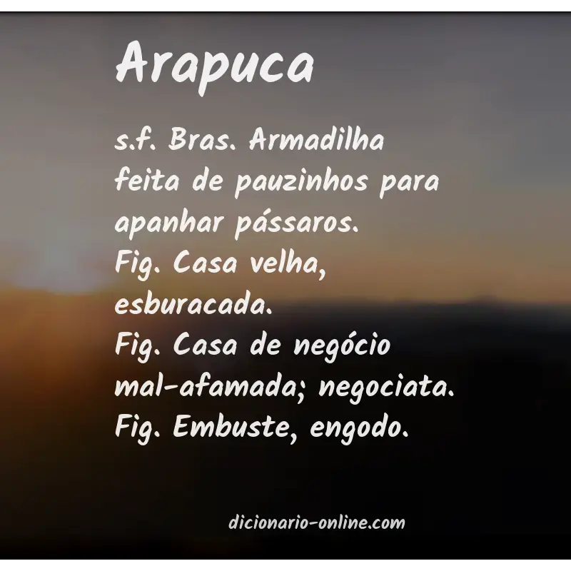 Significado de arapuca