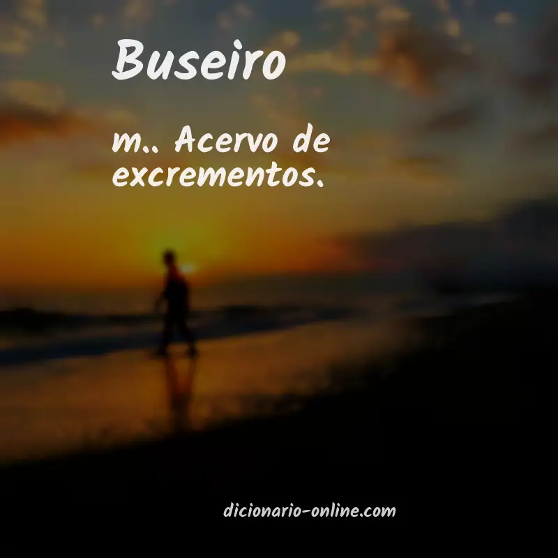 Significado de buseiro