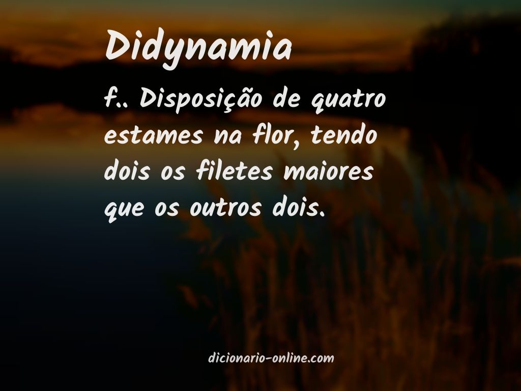 Significado de didynamia