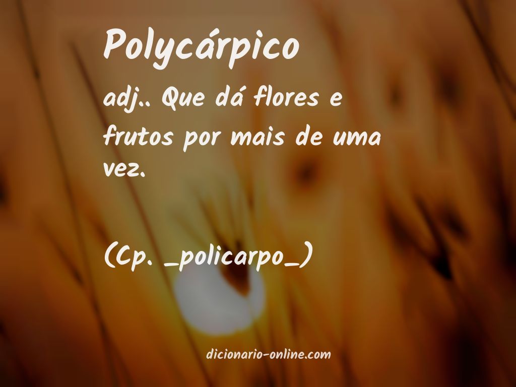 Significado de polycárpico