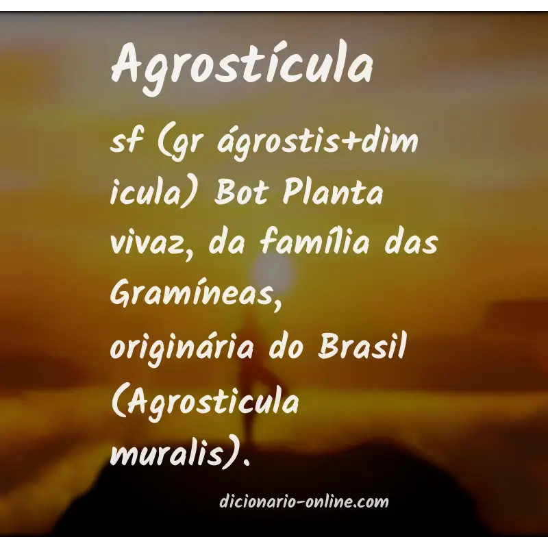 Significado de agrostícula