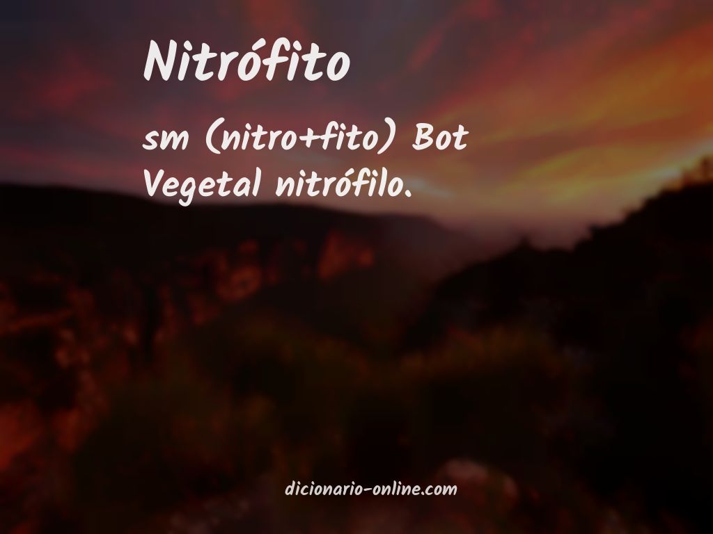 Significado de nitrófito