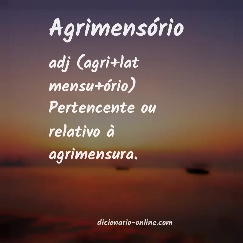 Significado de agrimensório