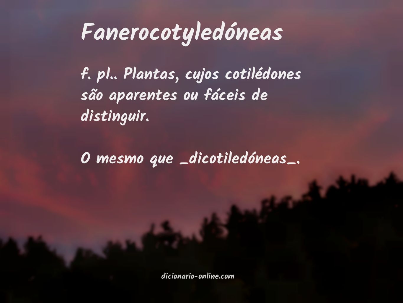 Significado de fanerocotyledóneas