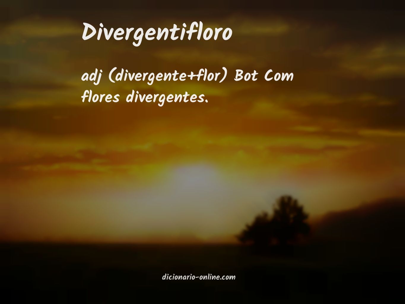 Significado de divergentifloro