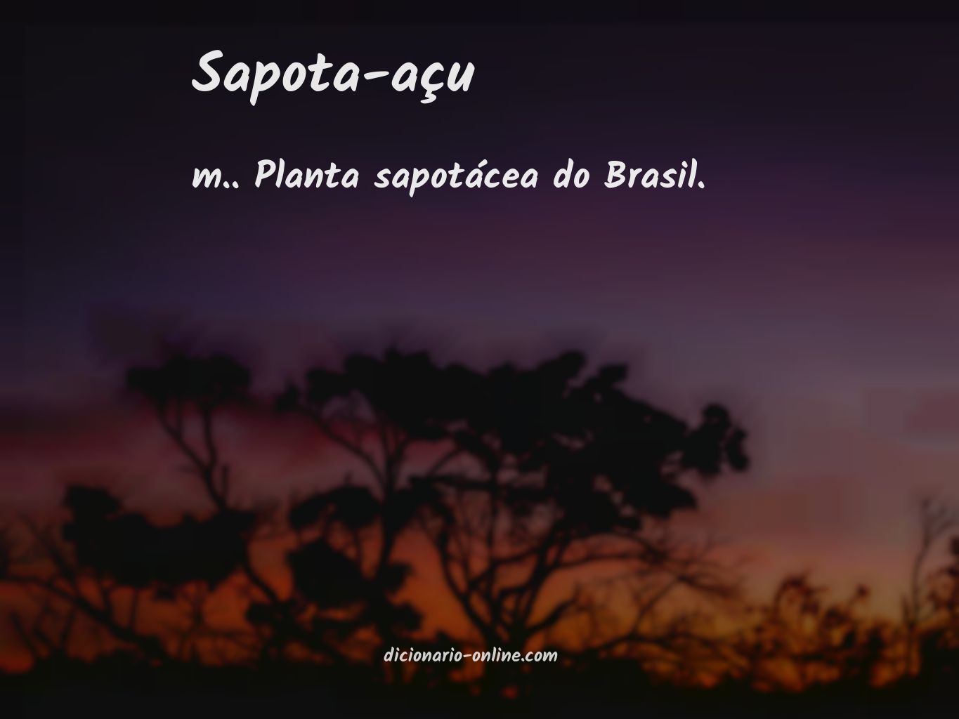 Significado de sapota-açu