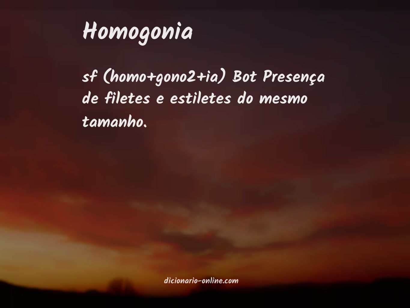 Significado de homogonia