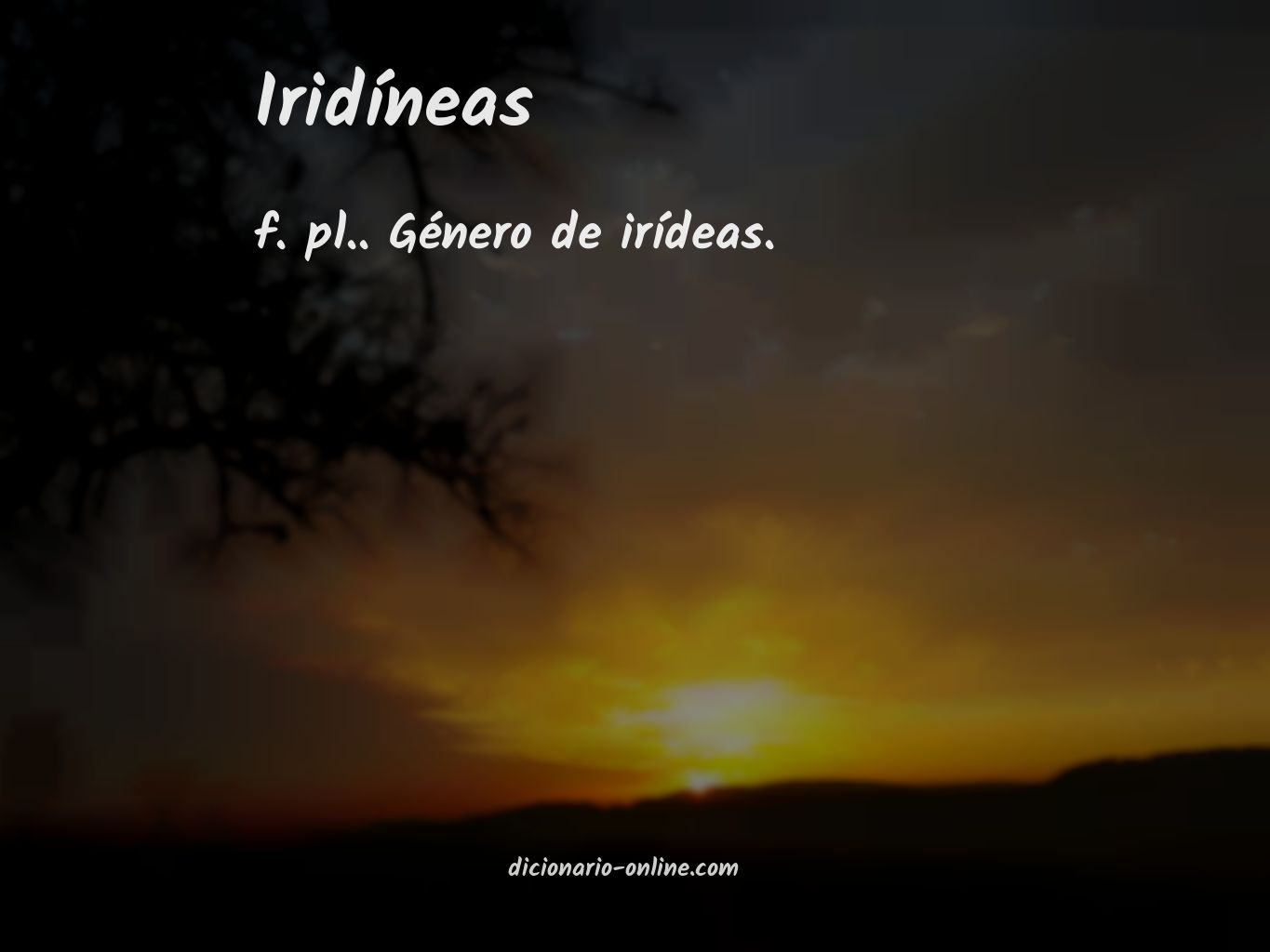 Significado de iridíneas