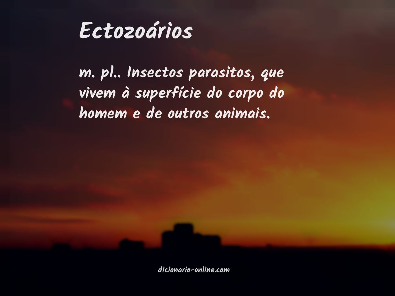 Significado de ectozoários