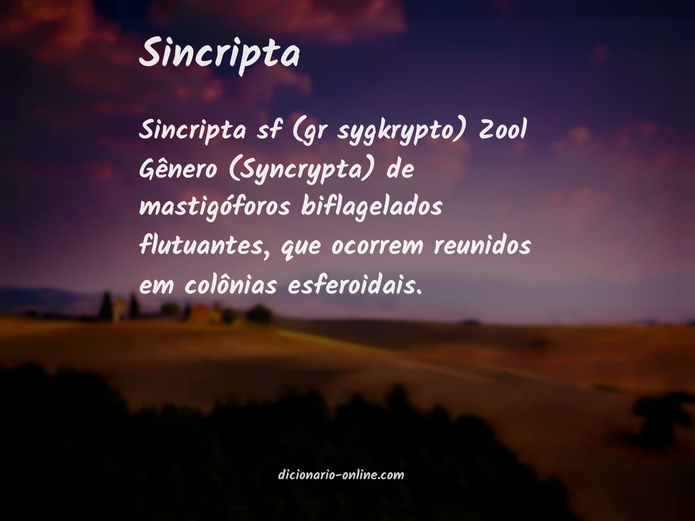 Significado de sincripta