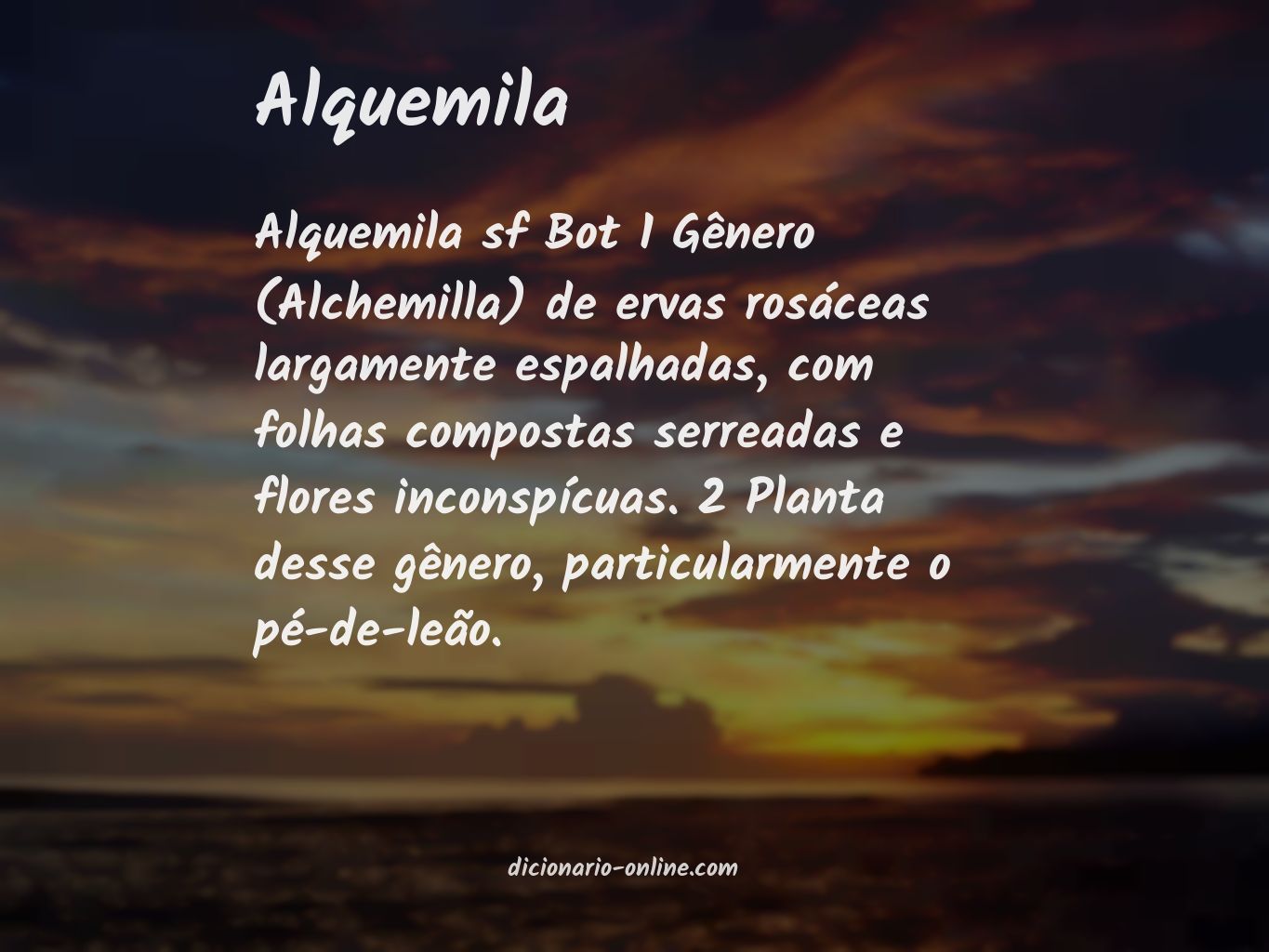 Significado de alquemila