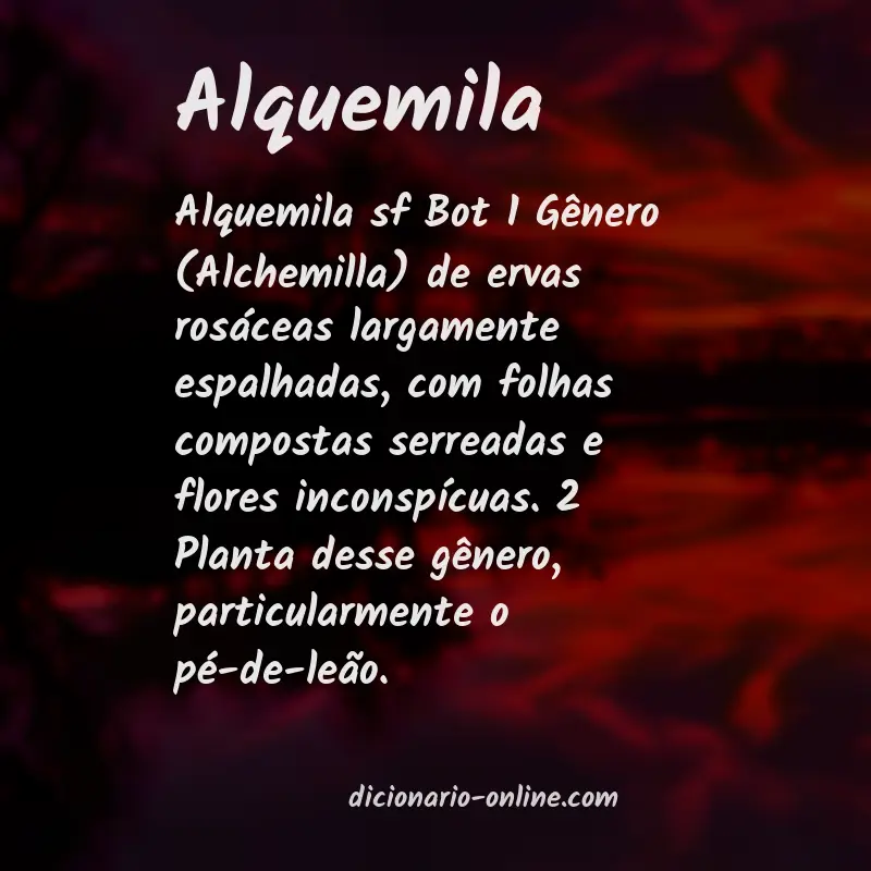 Significado de alquemila