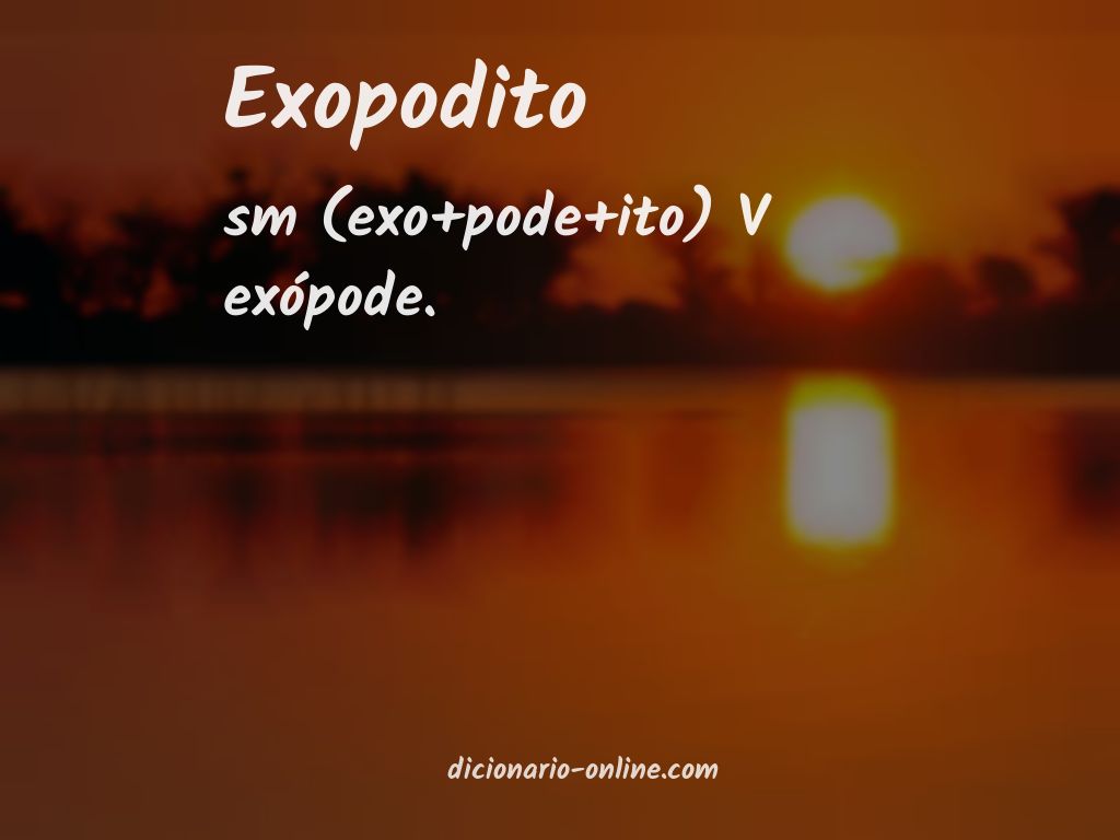 Significado de exopodito