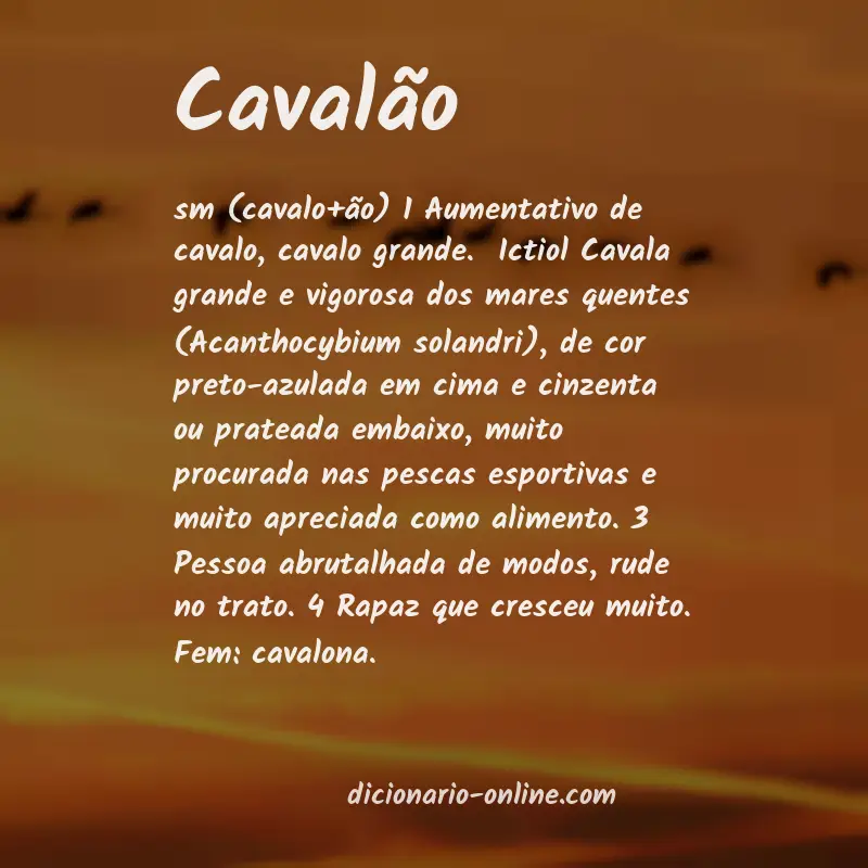 Significado de cavalão