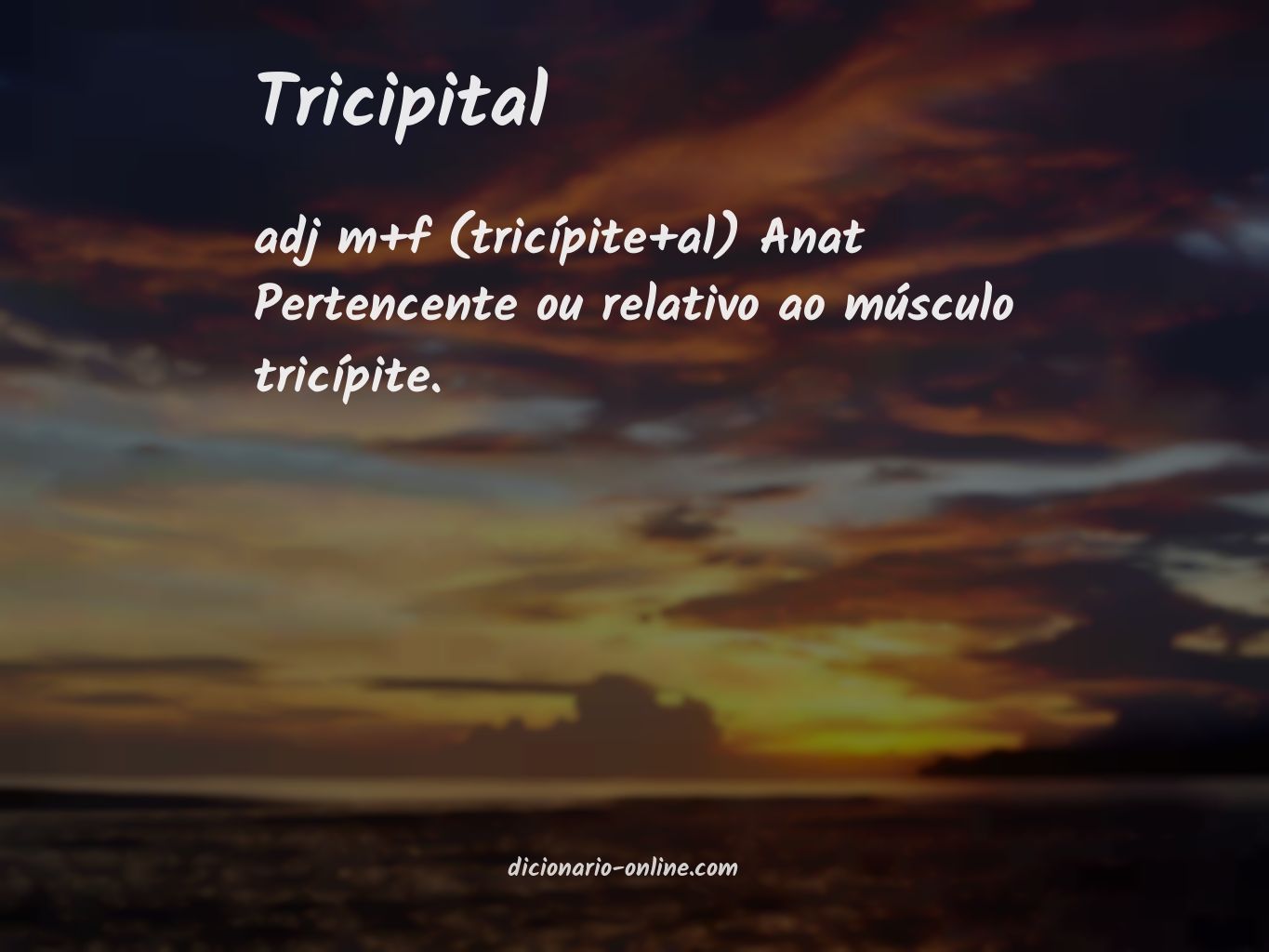 Significado de tricipital