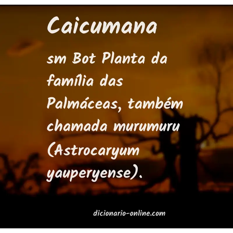 Significado de caicumana