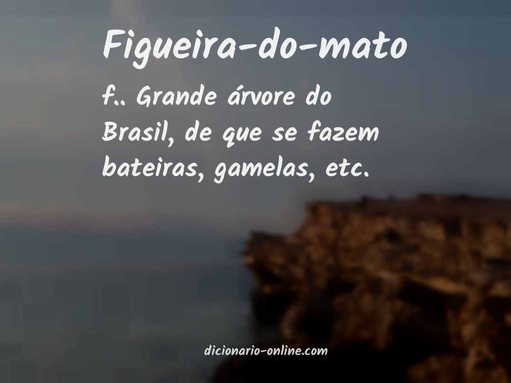 Significado de figueira-do-mato