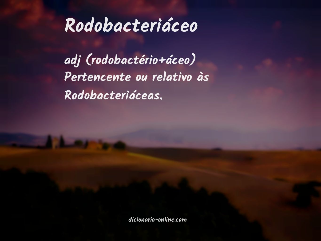 Significado de rodobacteriáceo