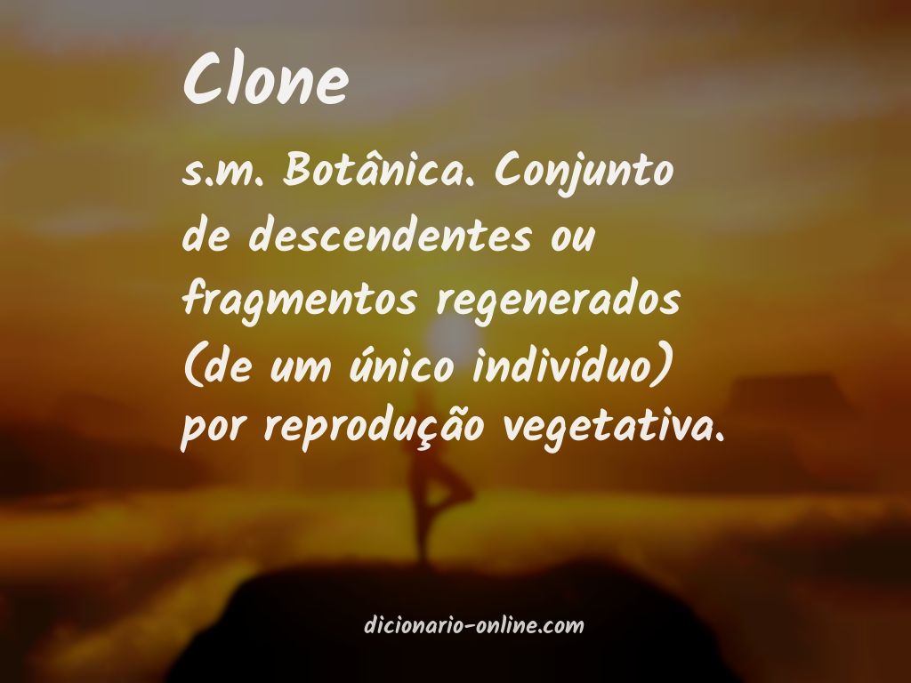 Significado de clone