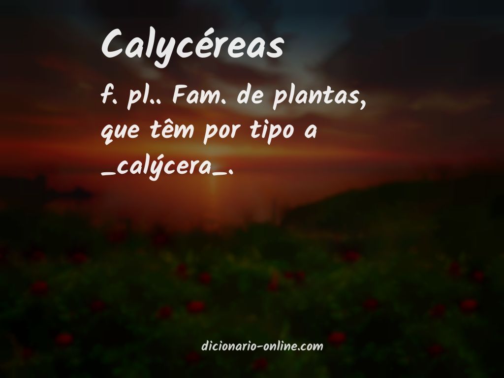 Significado de calycéreas