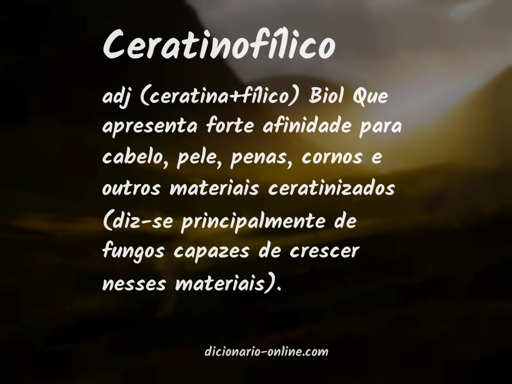 Significado de ceratinofílico