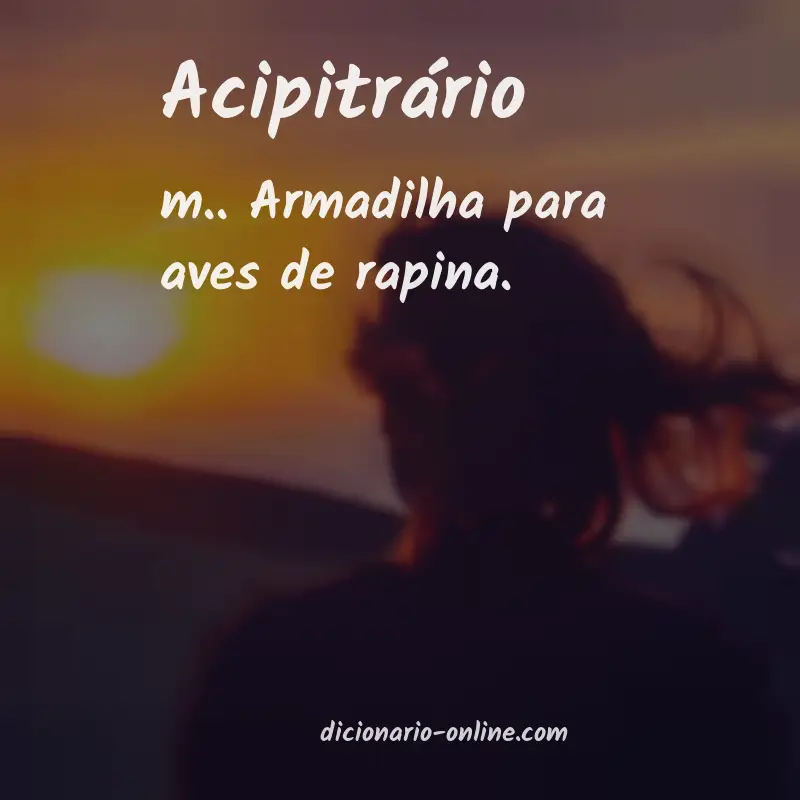 Significado de acipitrário