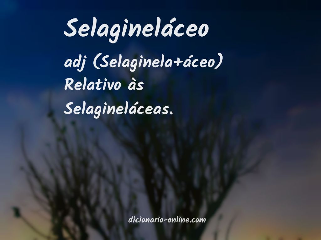 Significado de selagineláceo