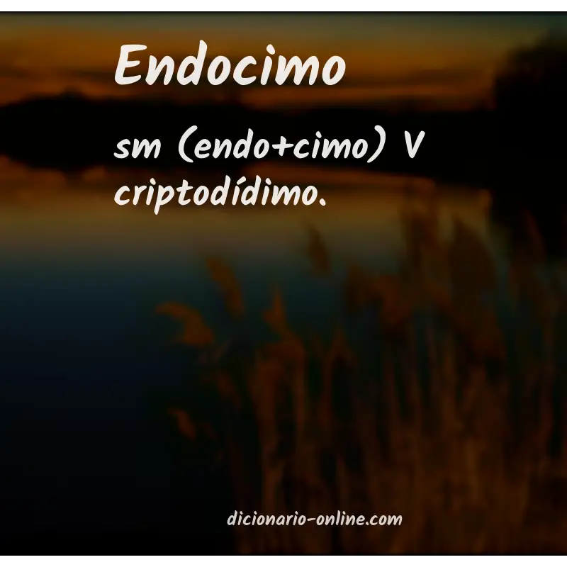 Significado de endocimo