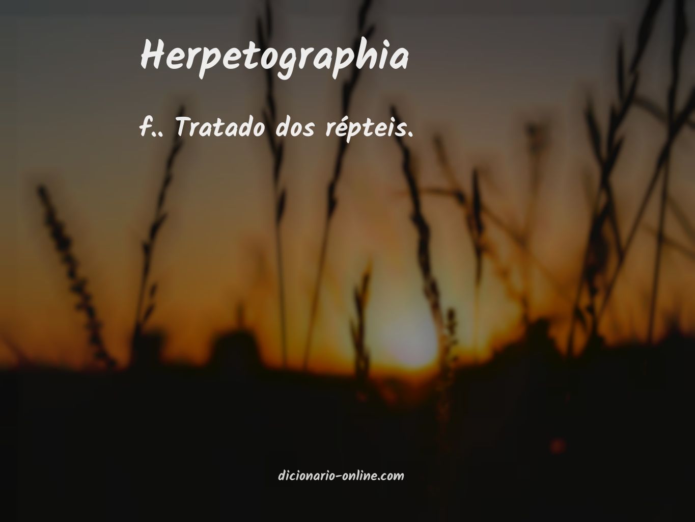 Significado de herpetographia