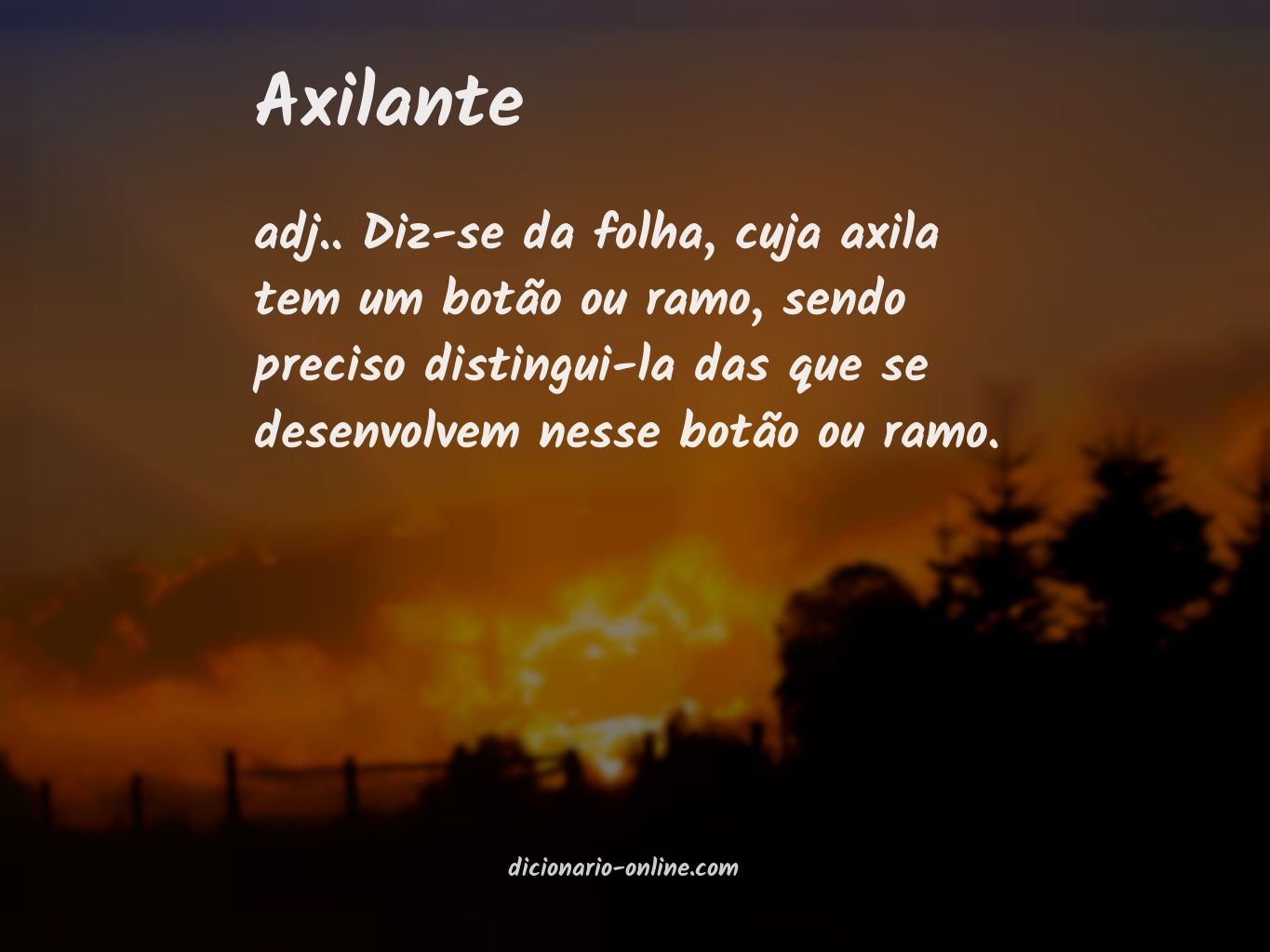 Significado de axilante