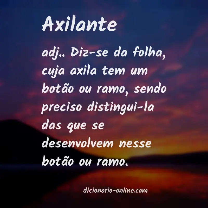 Significado de axilante