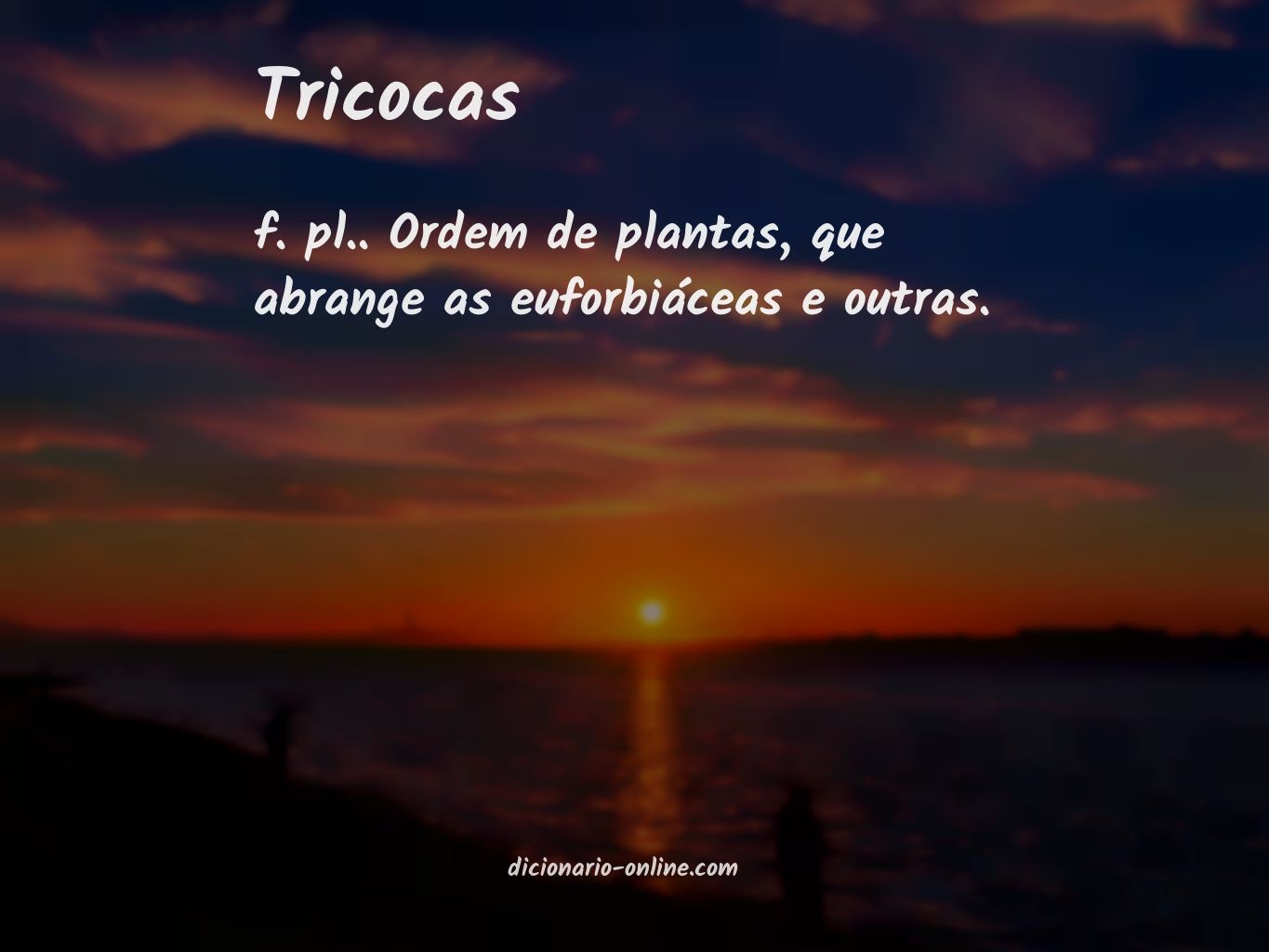 Significado de tricocas