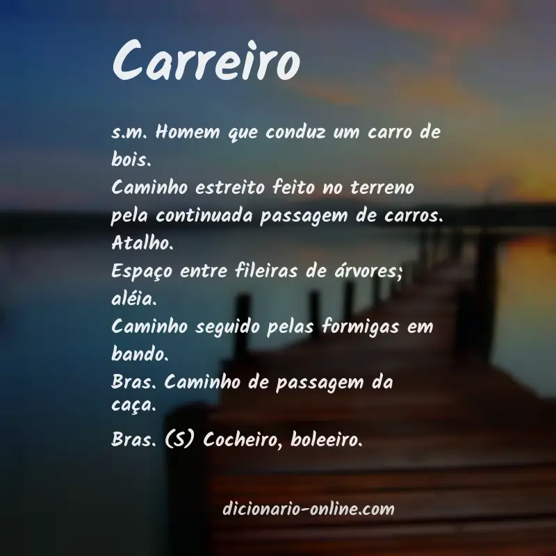 Significado de carreiro