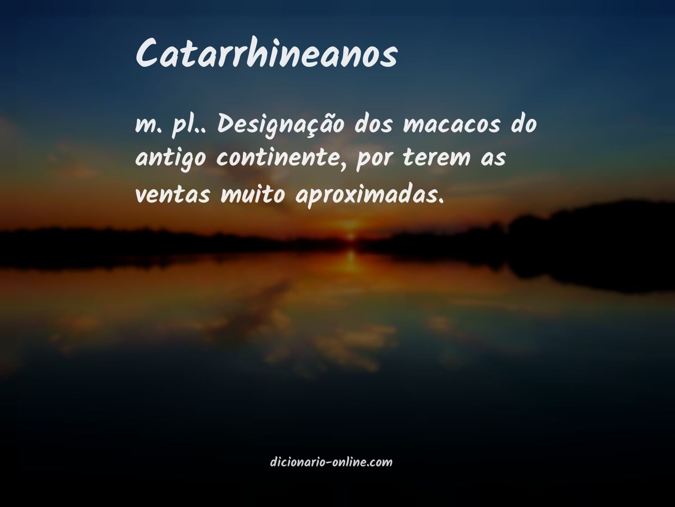 Significado de catarrhineanos