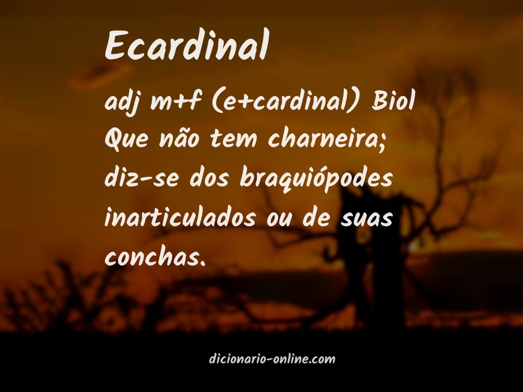 Significado de ecardinal