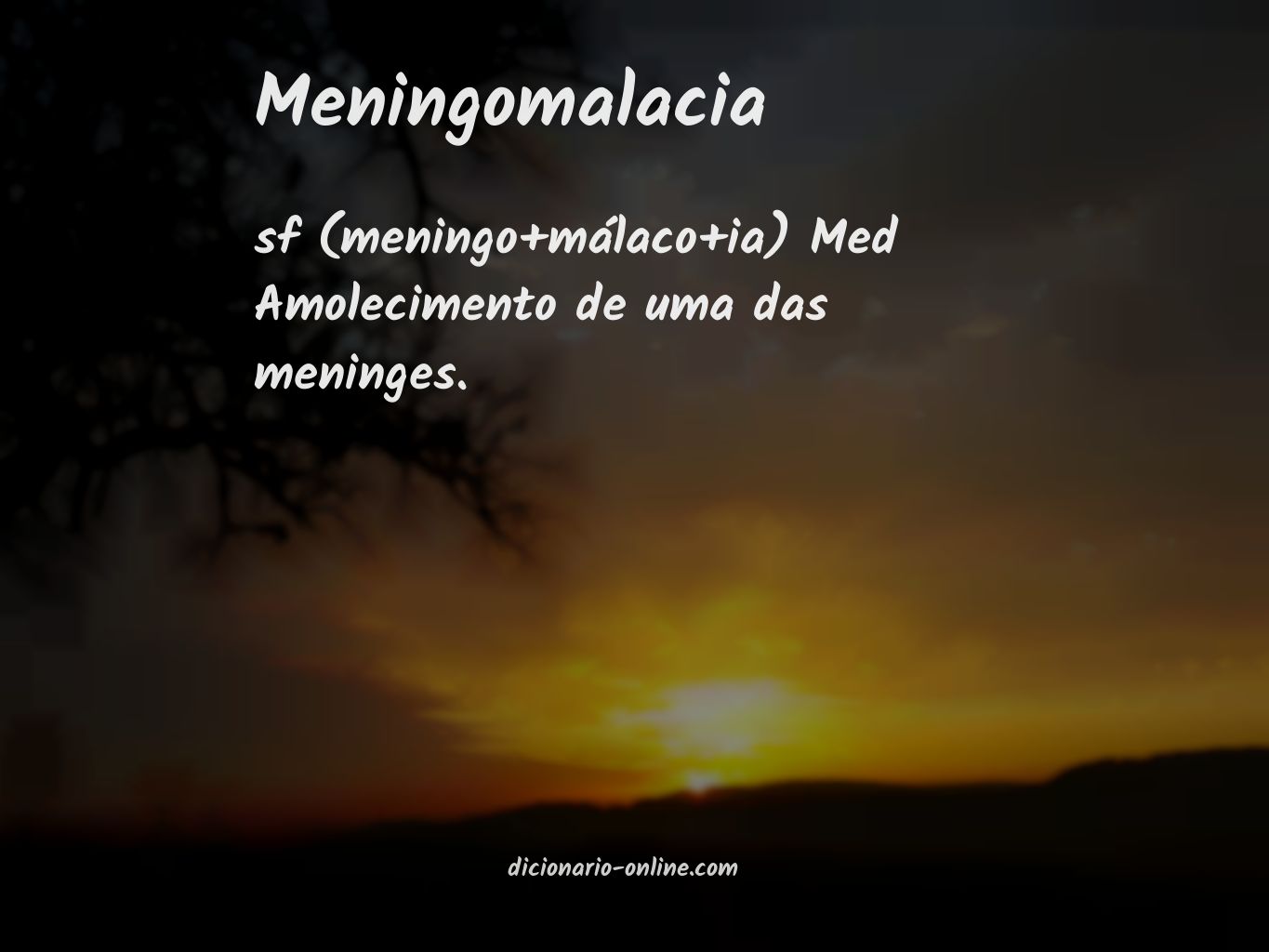 Significado de meningomalacia