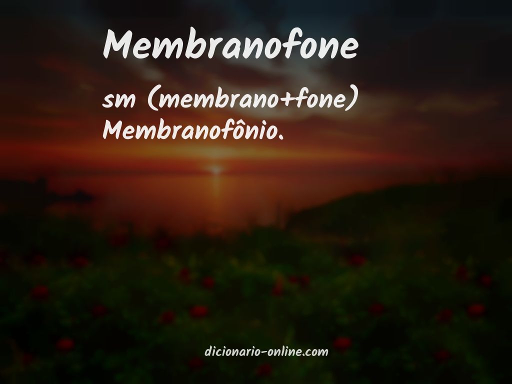 Significado de membranofone