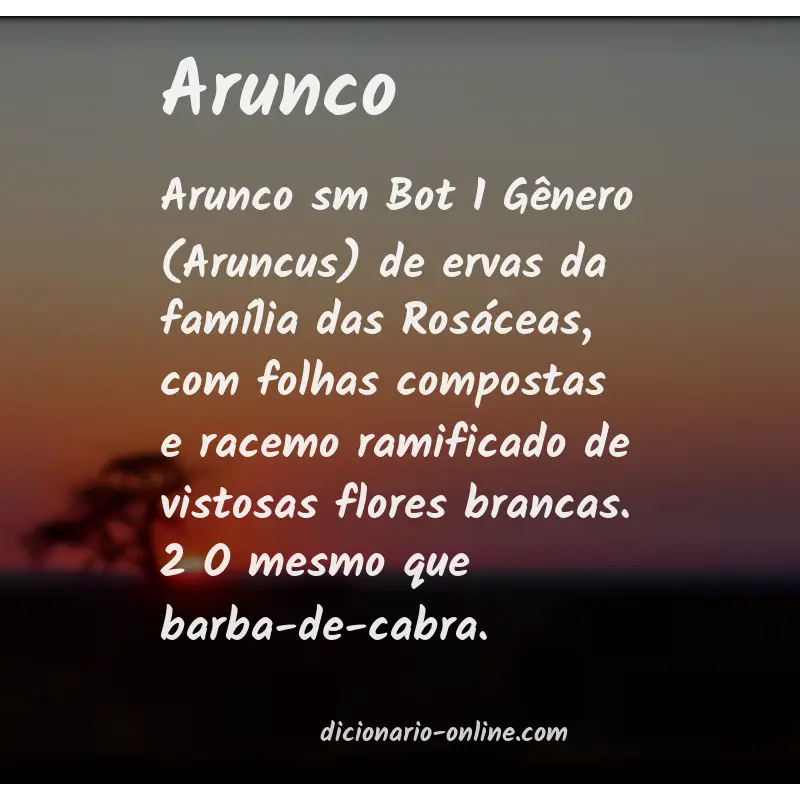 Significado de arunco