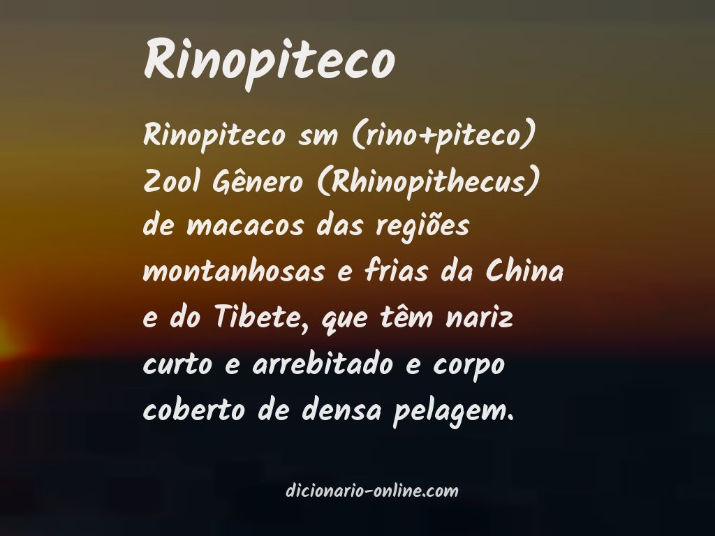 Significado de rinopiteco