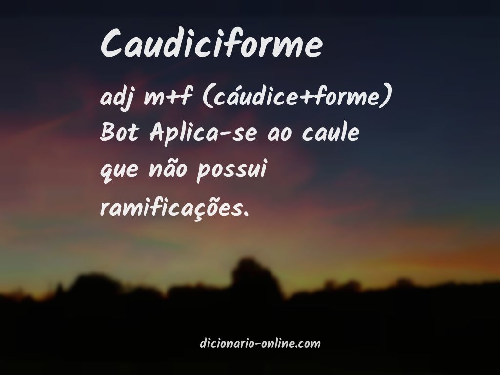 Significado de caudiciforme