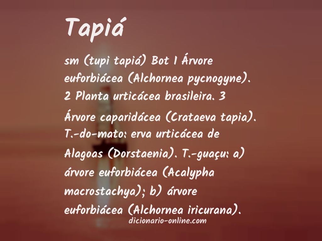 Significado de tapiá